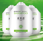 Zijdeachtige het Gladmaken Shampoo en Conditione voor Allerlei Haar GMPC