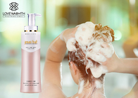 Het verfrissende Anti Voeden - de Controleshampoo van de Hoofdroos500ml Olie
